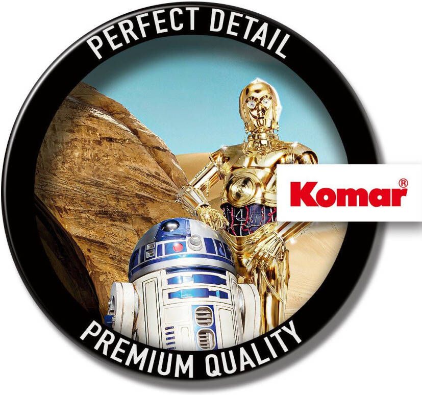 Komar Fotobehang Star Wars Lost Droids (1 stuk)