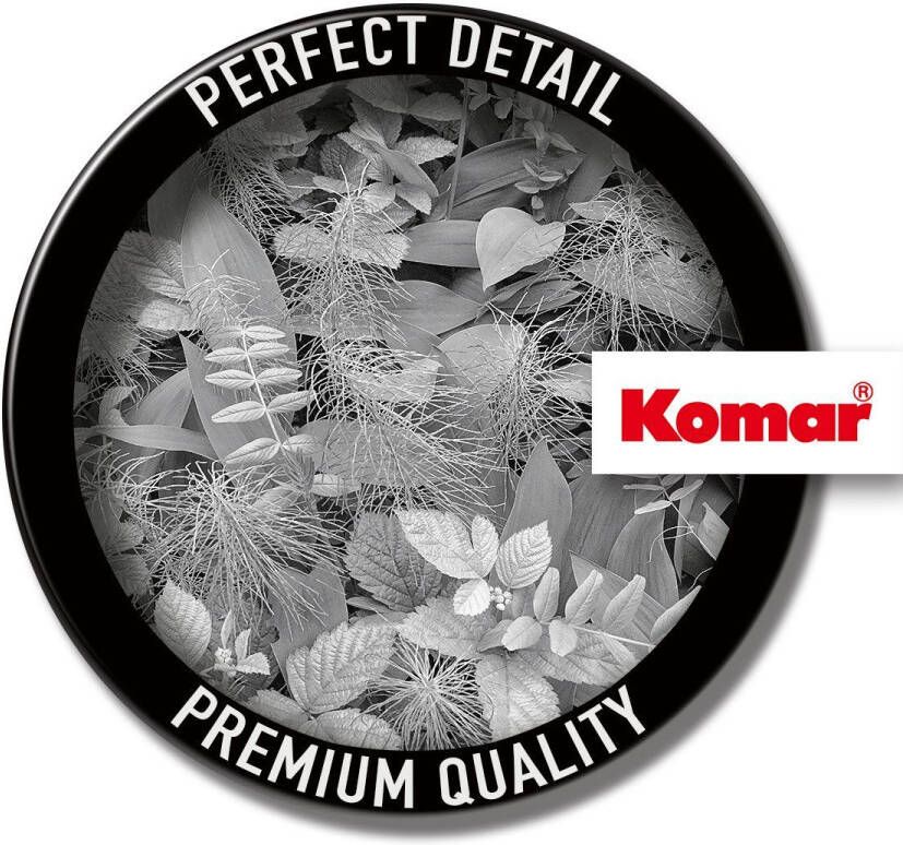 Komar Fotobehang Fototapete Fotobehang Forest Floor x 254 cm (1 stuk)