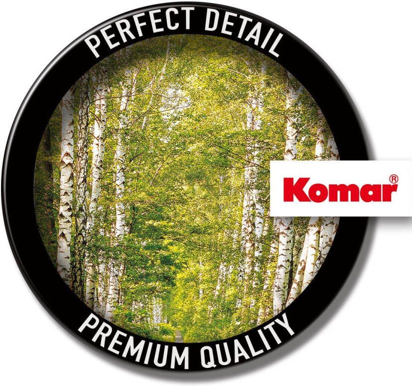 Komar Fotobehang Fototapete Fotobehang Birkenwald x 254 cm (1 stuk)