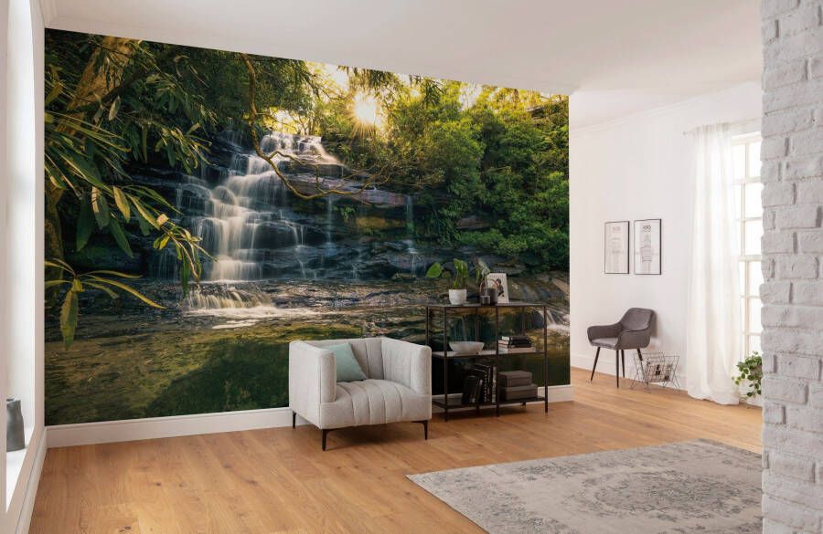 Komar Vliesbehang Gouden voor het geval 450x280 cm (breedte x hoogte) woonkamer slaapkamer (9 stuks)