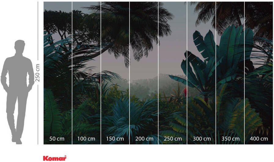 Komar Vliesbehang Jungle Morning 400x250 cm (breedte x hoogte) (1 stuk)