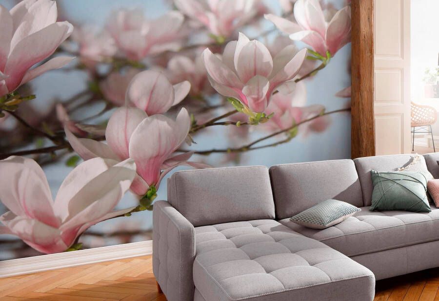 Komar Fotobehang Magnolia 368x254 cm (breedte x hoogte) inclusief pasta (set)