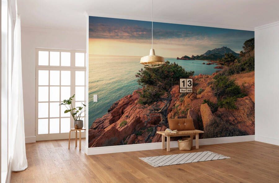 Komar Vliesbehang Paradiso II 450x280 cm (breedte x hoogte) woonkamer slaapkamer (9 stuks)