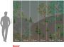 Komar Vliesbehang Persian Garden 300x250 cm (breedte x hoogte) (1 stuk) - Thumbnail 6
