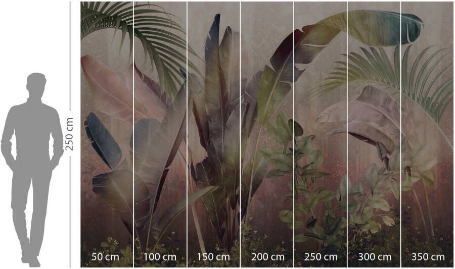 Komar Vliesbehang Rainforest Mist 350x250 cm (breedte x hoogte) (1 stuk)