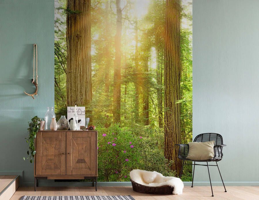 Komar Vliesbehang Redwood 200 x 260 cm (breedte x hoogte) (1 stuk)