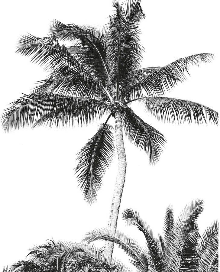 Komar Fotobehang Retro Palm 24 ijsblokjes flexibele bodem dicht lekvrij vaatwasserbestendig (1 stuk)