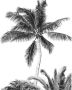 Komar Fotobehang Retro Palm 24 ijsblokjes flexibele bodem dicht lekvrij vaatwasserbestendig (1 stuk) - Thumbnail 2