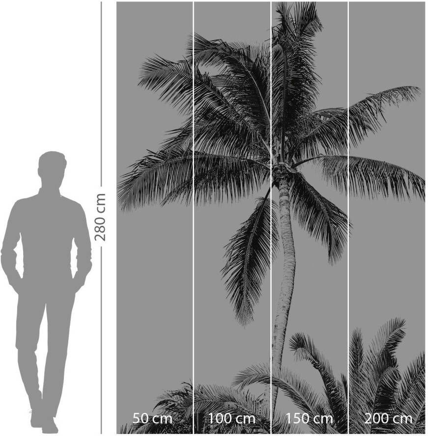 Komar Vliesbehang Retro Palm 200x280 cm (breedte x hoogte)