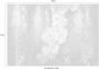 Komar Fotobehang Serafina 368x254 cm (breedte x hoogte) inclusief pasta (set) - Thumbnail 5