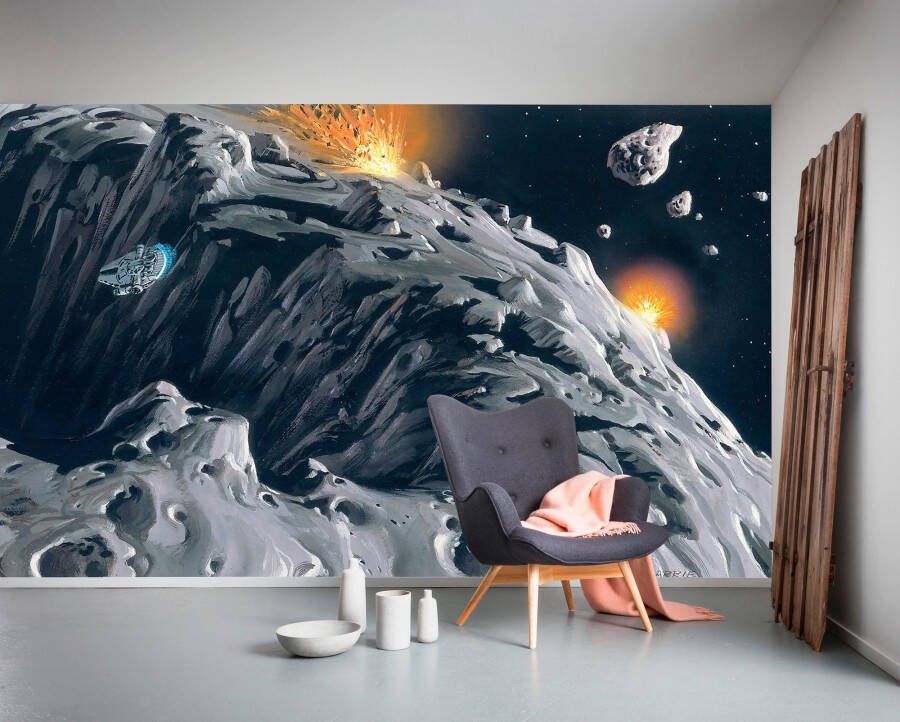 Komar Vliesbehang Star Wars Classic RMQ Asteroid (set)