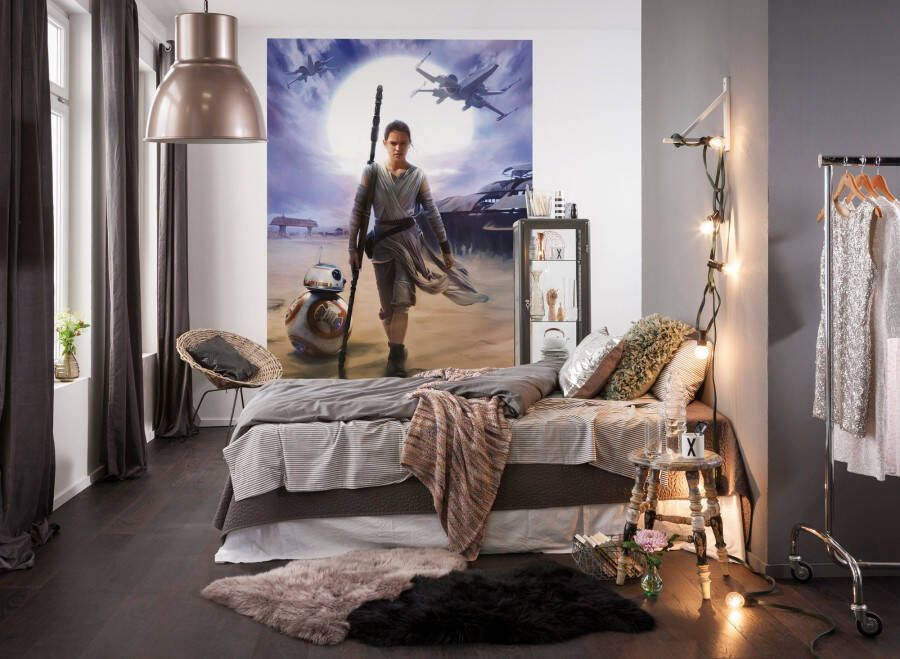 Komar Fotobehang Star Wars Rey 184x254 cm (breedte x hoogte) inclusief plaksel (set)