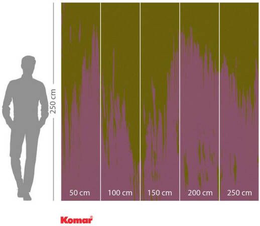 Komar Fotobehang vlies fotobehang Kleur fusie x 250 cm (set)