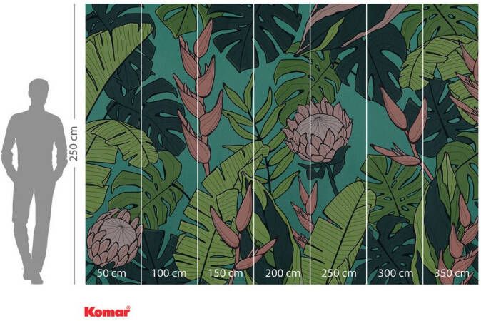 Komar Fotobehang vlies fotobehang Revival x 250 cm (set)
