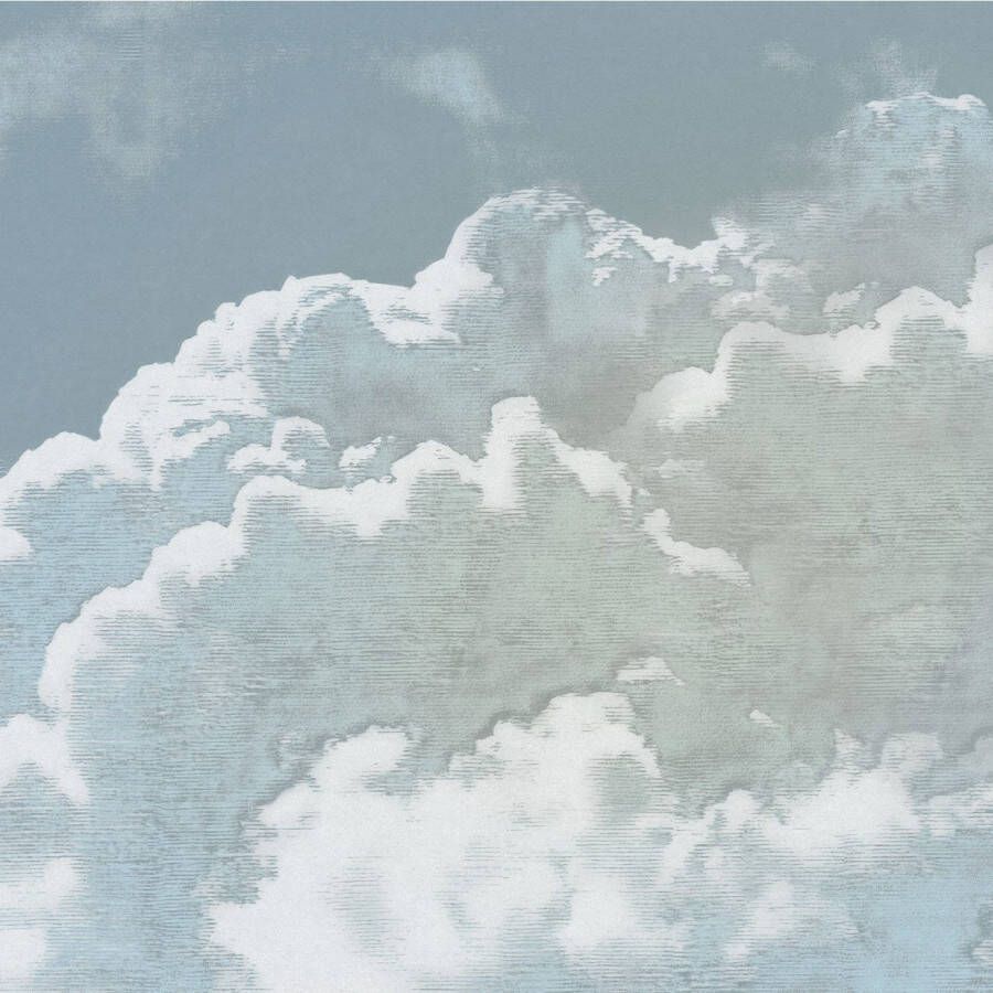 Komar Fotobehang vlies fotobehang Vintage Wolken x 250 cm (set)