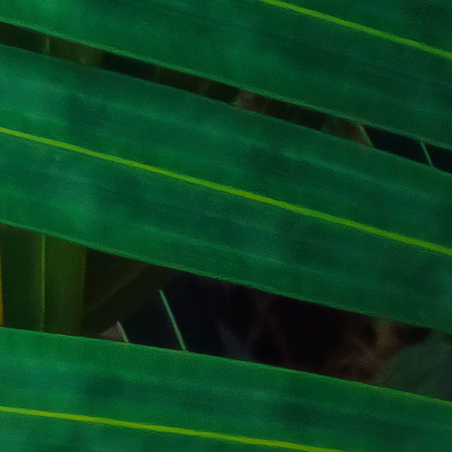 Komar Fotobehang Vlies Fototapete Amazon Fern Größe 400 x 250 cm (1 stuk)