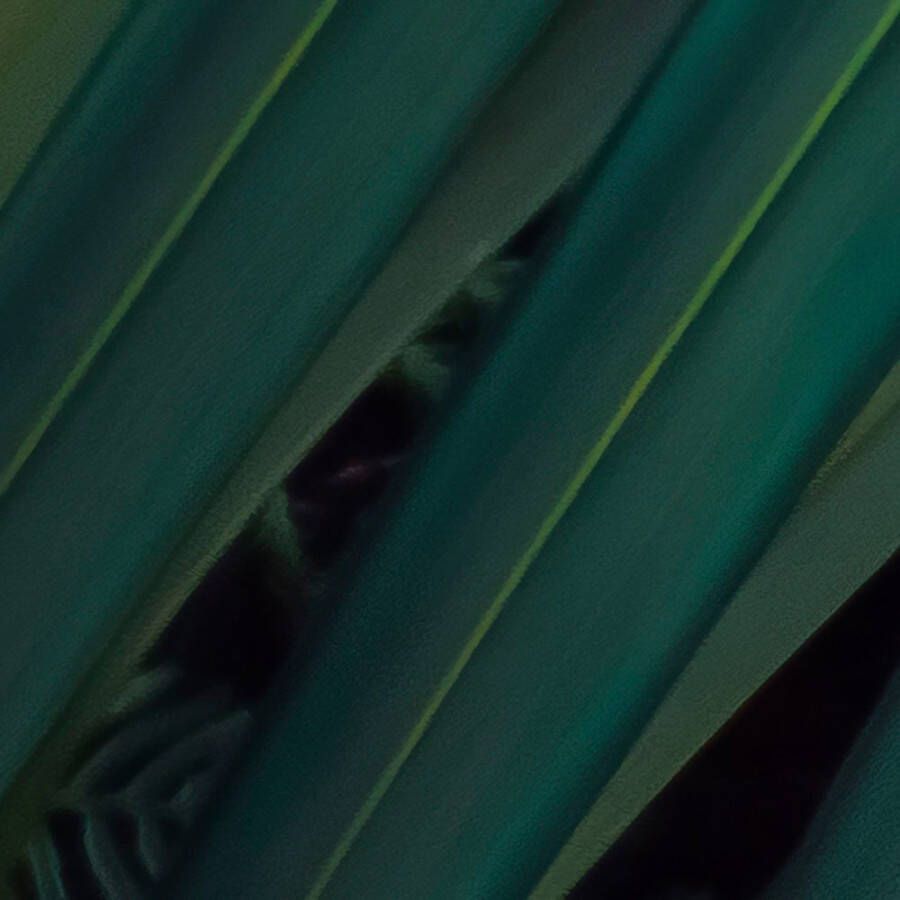 Komar Fotobehang Vlies Fototapete Amazon Fern Größe 400 x 250 cm (1 stuk)