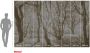Komar Fotobehang Bleached Birch 400x250cm Vliesbehang - Thumbnail 7