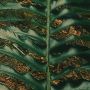 Komar Fotobehang Vlies Fototapete Hall of Mosses Größe 400 x 250 cm (1 stuk) - Thumbnail 6