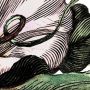 Komar Fotobehang Vlies Fototapete Paradis de Papillons Größe 400 x 250 cm (1 stuk) - Thumbnail 4
