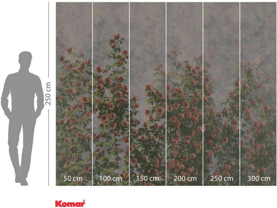 Komar Vliesbehang Wall Roses 300x250 cm (breedte x hoogte) (1 stuk)
