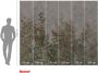 Komar Vliesbehang Wall Roses 300x250 cm (breedte x hoogte) (1 stuk) - Thumbnail 6