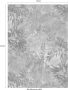 Komar Fotobehang Wild Garden 184x254cm Papierbehang - Thumbnail 4