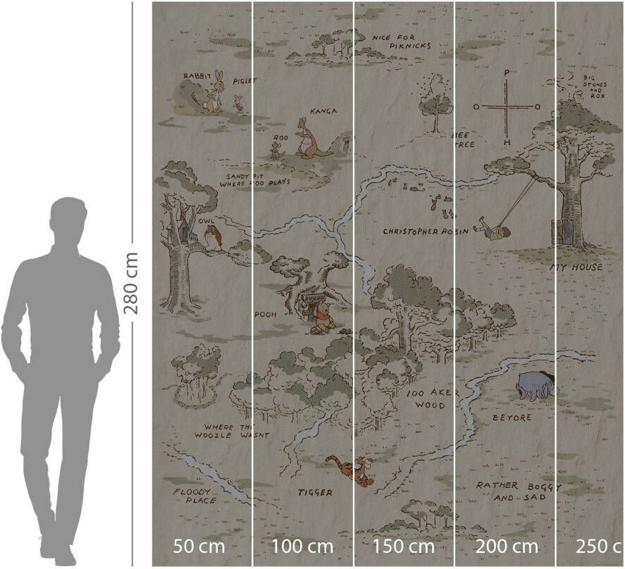 Komar Vliesbehang Winnie Pooh Map 200x240 cm (breedte x hoogte)
