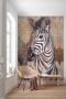 Komar Vliesbehang Zebra 200 x 250 cm (breedte x hoogte) - Thumbnail 2