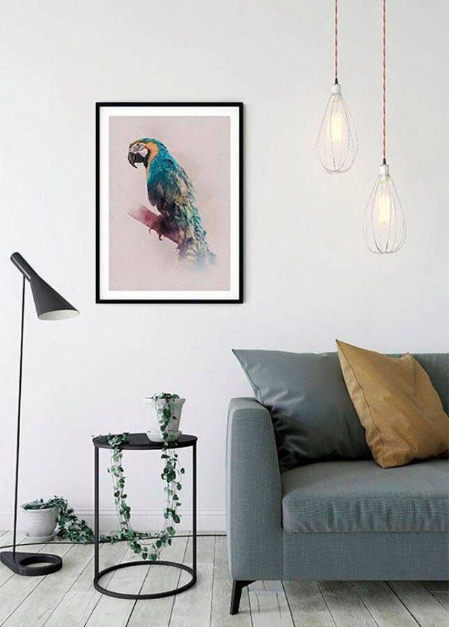 Komar Poster Animals Paradise Parrot Kinderkamer slaapkamer woonkamer
