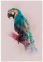 Komar Poster Animals Paradise Parrot Kinderkamer slaapkamer woonkamer - Thumbnail 5