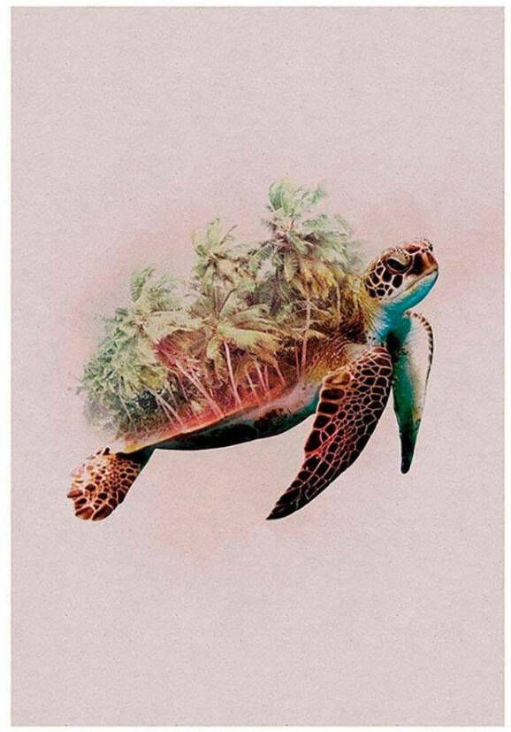 Komar Poster Animals Paradise Turtle Kinderkamer slaapkamer woonkamer