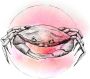 Komar Poster Crab Watercolor Kinderkamer slaapkamer woonkamer - Thumbnail 6