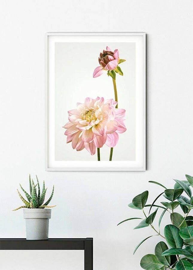 Komar Poster Dahlia Kinderkamer slaapkamer woonkamer