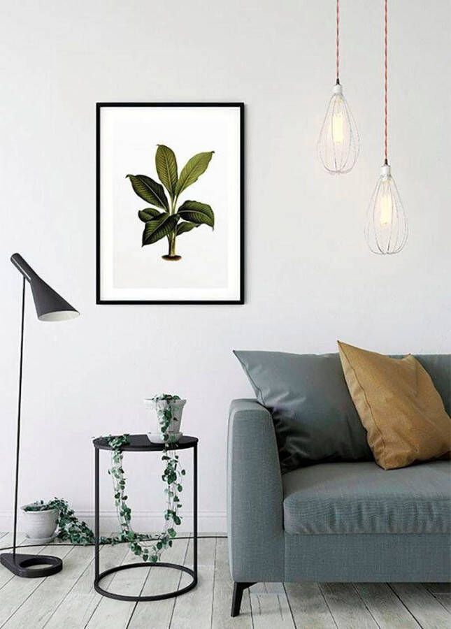 Komar Poster Elastica Leaf Kinderkamer slaapkamer woonkamer