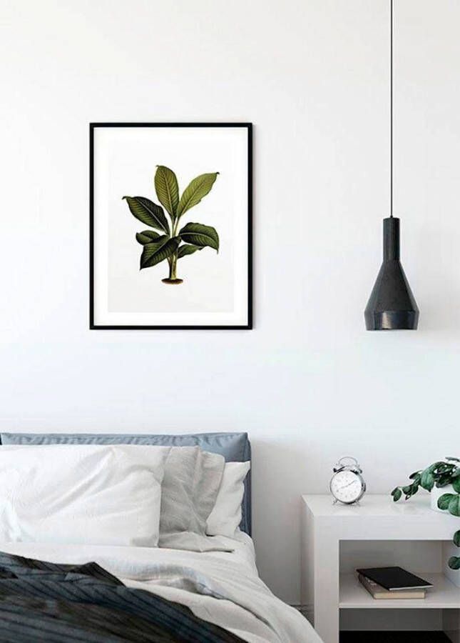 Komar Poster Elastica Leaf Kinderkamer slaapkamer woonkamer