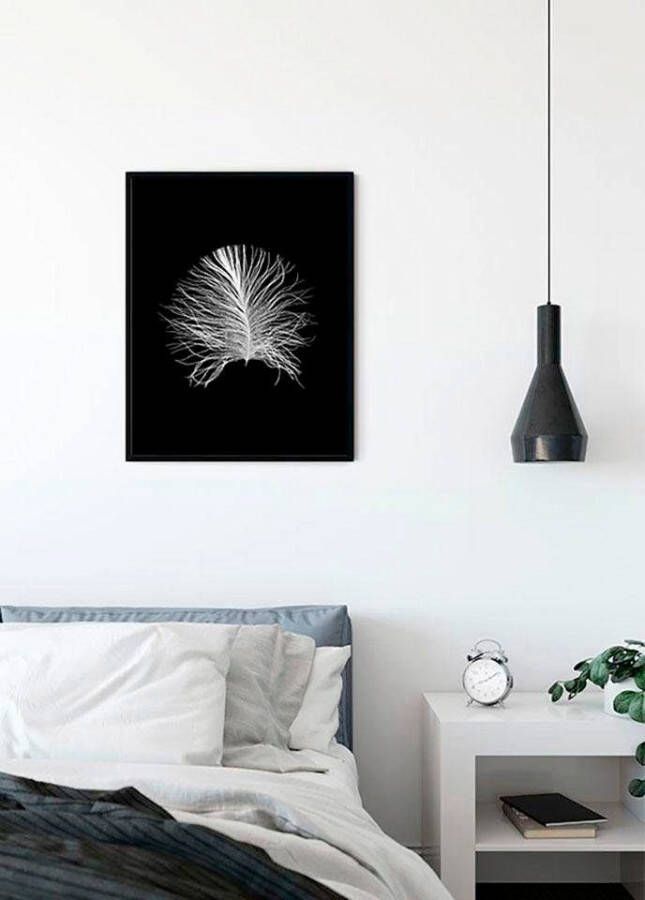 Komar Poster Feather black Kinderkamer slaapkamer woonkamer