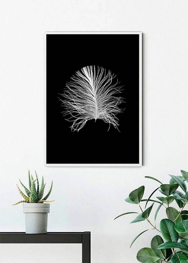 Komar Poster Feather black Kinderkamer slaapkamer woonkamer