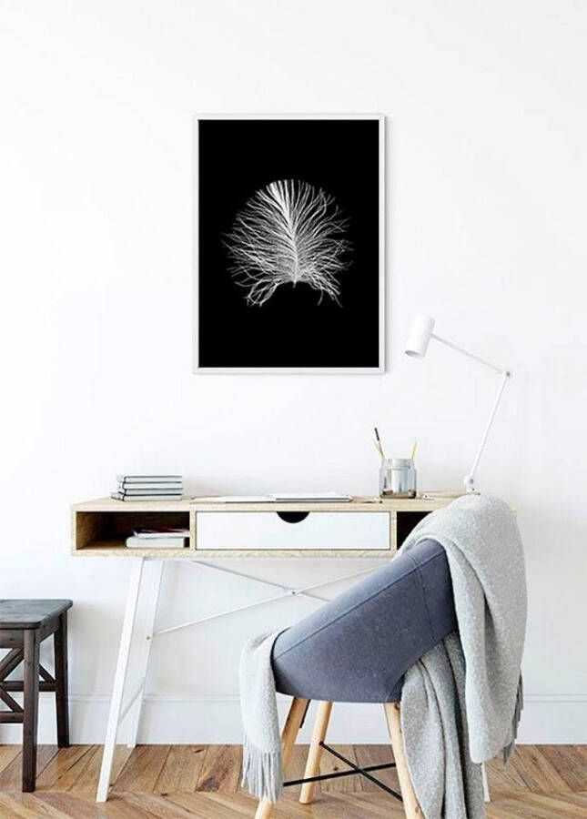 Komar Poster Feather black Kinderkamer slaapkamer woonkamer