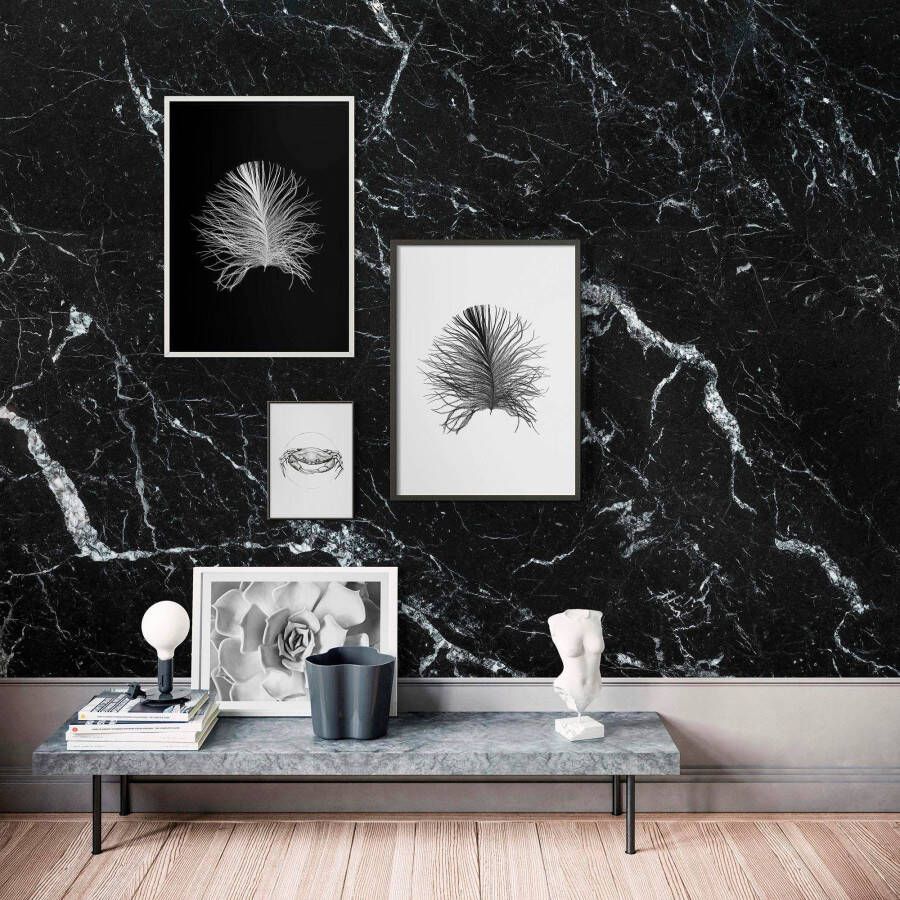 Komar Poster Feather black Kinderkamer slaapkamer woonkamer