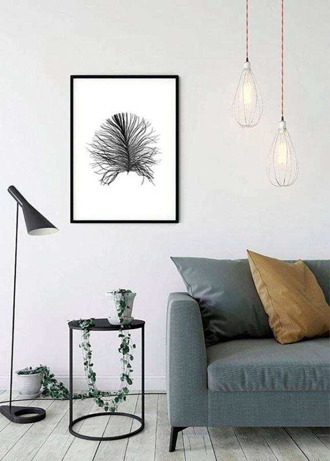 Komar Poster Feather white Kinderkamer slaapkamer woonkamer