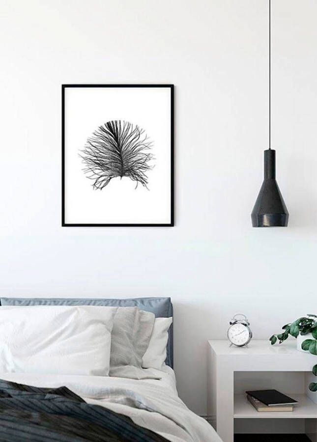 Komar Poster Feather white Kinderkamer slaapkamer woonkamer