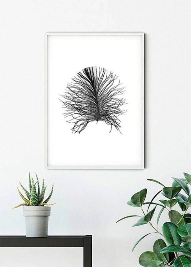 Komar Poster Feather white Kinderkamer slaapkamer woonkamer