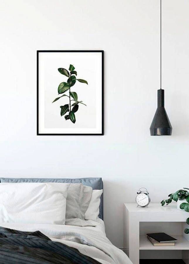 Komar Poster Ficus Branch Kinderkamer slaapkamer woonkamer