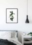 Komar Poster Ficus Branch Kinderkamer slaapkamer woonkamer - Thumbnail 3