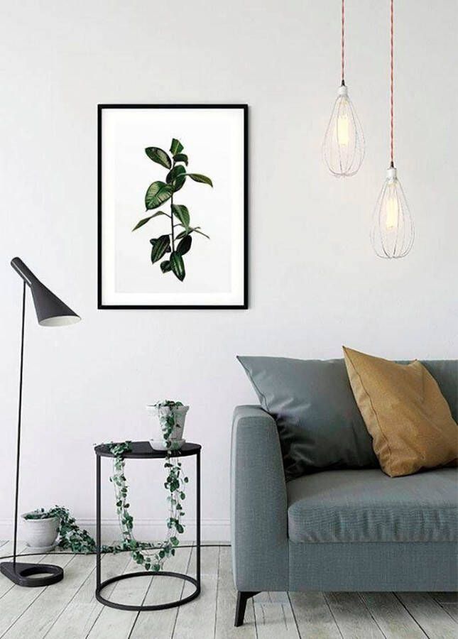 Komar Poster Ficus Branch Kinderkamer slaapkamer woonkamer