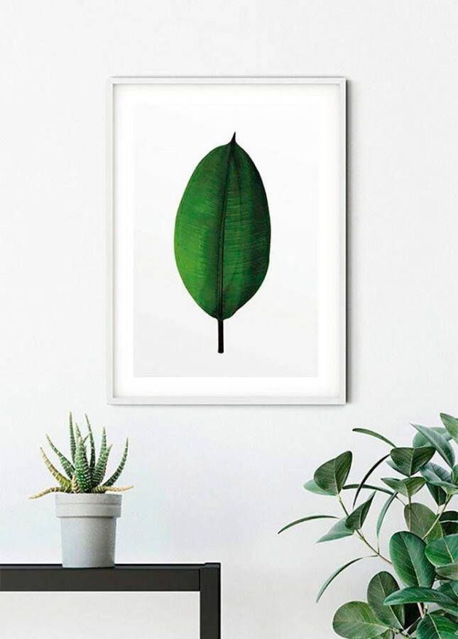 Komar Poster Ficus Leaf Kinderkamer slaapkamer woonkamer