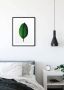 Komar Poster Ficus Leaf Kinderkamer slaapkamer woonkamer - Thumbnail 6