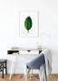 Komar Poster Ficus Leaf Kinderkamer slaapkamer woonkamer - Thumbnail 5