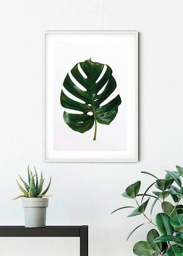 Komar Poster Monstera Leaf Kinderkamer slaapkamer woonkamer